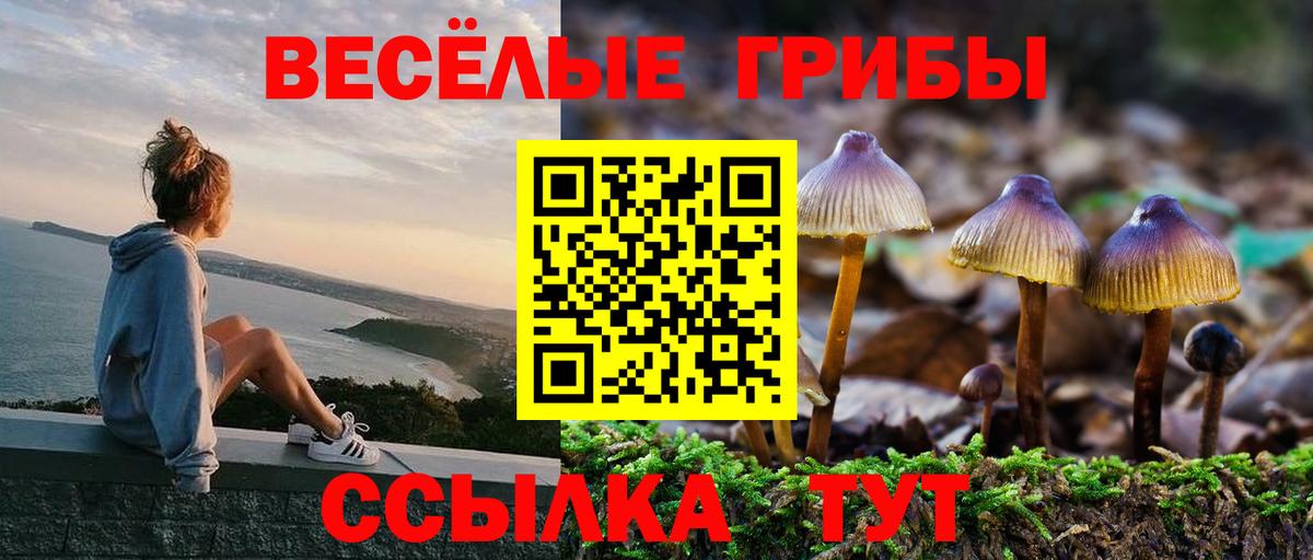 Галлюциногенные грибы Cubensis  Вход с VPN  Брянск 