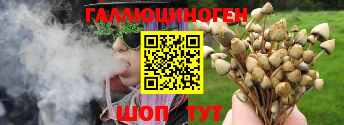 Галлюциногенные грибы ЛСД Брянск